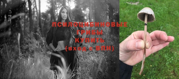 дмт Белоозёрский