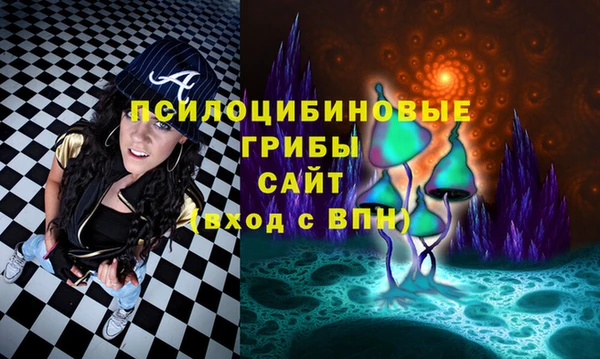 молекула духа Беломорск