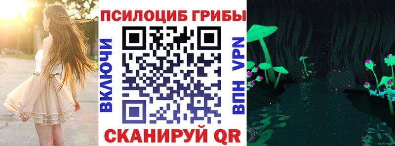 Галлюциногенные грибы Cubensis  Сланцы 